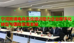 宁河跨境电商系统培训助力企业数字化转型与国际贸易发展