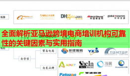全面解析亚马逊跨境电商培训机构可靠性的关键因素与实用指南