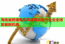 海南省跨境电商实战培训助力企业全球发展新机遇