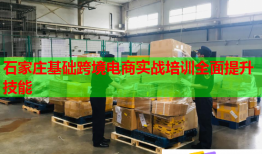 石家庄基础跨境电商实战培训全面提升技能