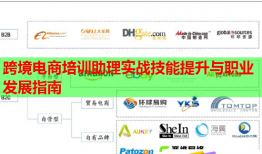 跨境电商培训助理实战技能提升与职业发展指南