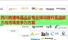 四川跨境电商企业专业培训提升实战能力与市场竞争力方案