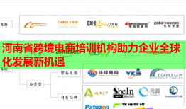 河南省跨境电商培训机构助力企业全球化发展新机遇