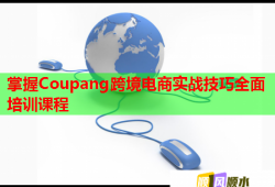 掌握Coupang跨境电商实战技巧全面培训课程