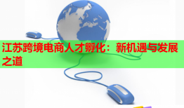 江苏跨境电商人才孵化：新机遇与发展之道