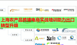 上海农产品跨境电商实战培训助力出口转型升级