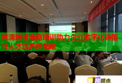 武清跨境电商培训助力企业数字化转型与人才培养新高地