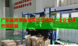 广东省跨境电商实战培训助力企业全球市场拓展