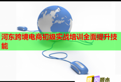 河东跨境电商初级实战培训全面提升技能