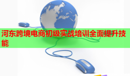 河东跨境电商初级实战培训全面提升技能