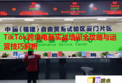 TikTok跨境电商实战培训全攻略与运营技巧解析