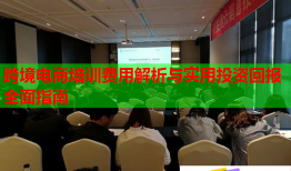 跨境电商培训费用解析与实用投资回报全面指南