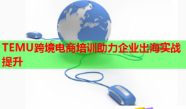 TEMU跨境电商培训助力企业出海实战提升