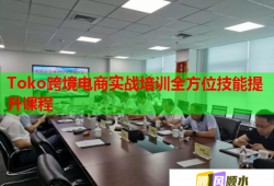 Toko跨境电商实战培训全方位技能提升课程