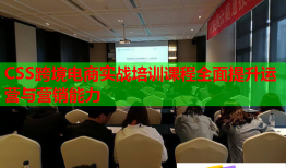 CSS跨境电商实战培训课程全面提升运营与营销能力