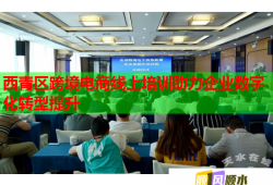 西青区跨境电商线上培训助力企业数字化转型提升