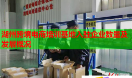 湖州跨境电商培训基地入驻企业数量及发展概况