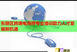 东丽区跨境电商师专业培训助力人才发展新机遇