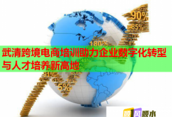 武清跨境电商培训助力企业数字化转型与人才培养新高地