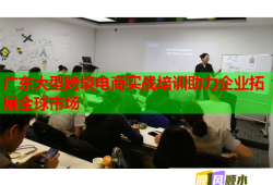 广东大型跨境电商实战培训助力企业拓展全球市场