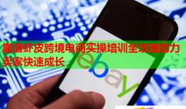 靠谱虾皮跨境电商实操培训全攻略助力卖家快速成长
