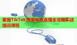 掌握TikTok跨境电商直播全流程实战培训课程