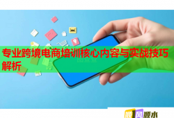 专业跨境电商培训核心内容与实战技巧解析