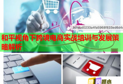 和平视角下跨境电商实战培训与发展策略解析