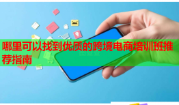 哪里可以找到优质的跨境电商培训班推荐指南