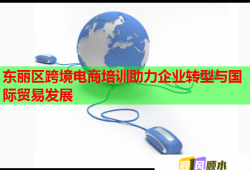 东丽区跨境电商培训助力企业转型与国际贸易发展