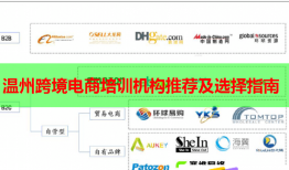 温州跨境电商培训机构推荐及选择指南