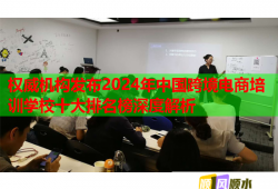 权威机构发布2024年中国跨境电商培训学校十大排名榜深度解析