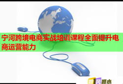 宁河跨境电商实战培训课程全面提升电商运营能力