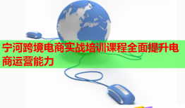 宁河跨境电商实战培训课程全面提升电商运营能力