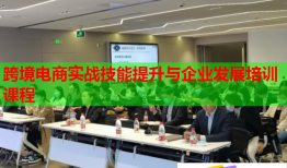 跨境电商实战技能提升与企业发展培训课程