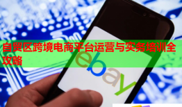 自贸区跨境电商平台运营与实务培训全攻略