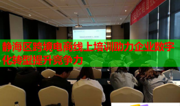 静海区跨境电商线上培训助力企业数字化转型提升竞争力