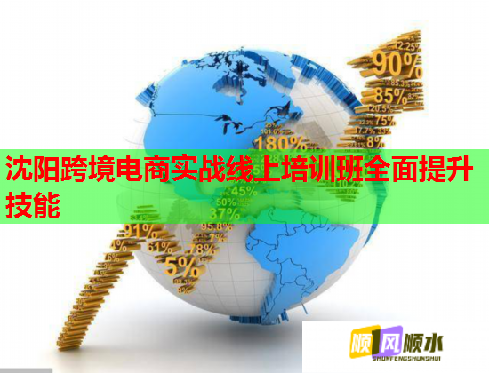 沈阳跨境电商实战线上培训班全面提升技能