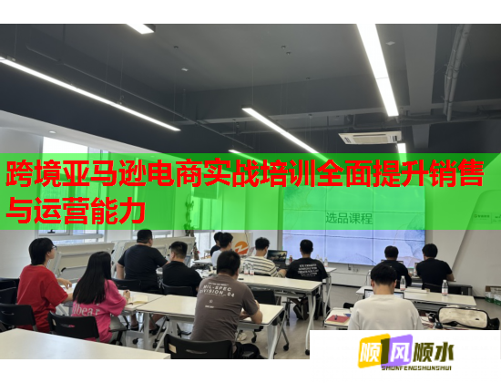 跨境亚马逊电商实战培训全面提升销售与运营能力