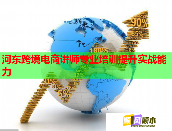 河东跨境电商讲师专业培训提升实战能力 河东跨境电商讲师专业培训提升实战能力