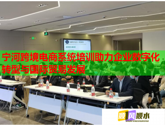 宁河跨境电商系统培训助力企业数字化转型与国际贸易发展 宁河跨境电商系统培训助力企业数字化转型与国际贸易发展
