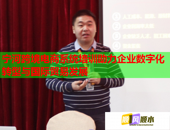 宁河跨境电商系统培训助力企业数字化转型与国际贸易发展 宁河跨境电商系统培训助力企业数字化转型与国际贸易发展