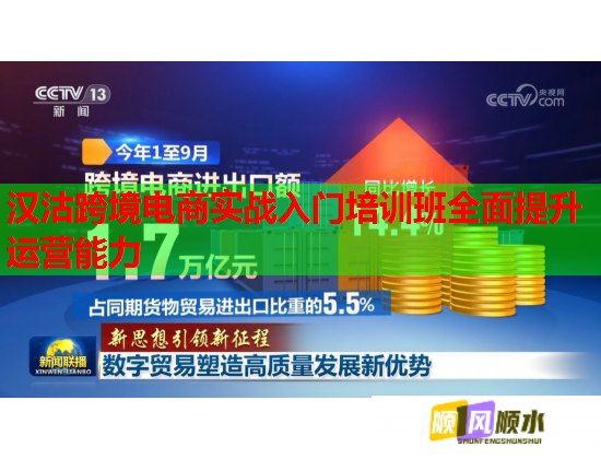 汉沽跨境电商实战入门培训班全面提升运营能力 汉沽跨境电商实战入门培训班全面提升运营能力