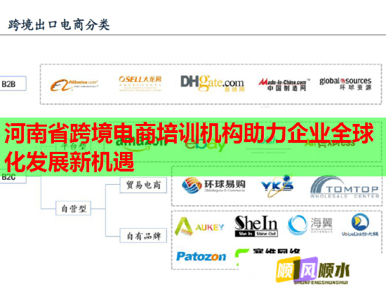 河南省跨境电商培训机构助力企业全球化发展新机遇