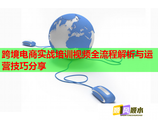 跨境电商实战培训视频全流程解析与运营技巧分享 跨境电商实战培训视频全流程解析与运营技巧分享