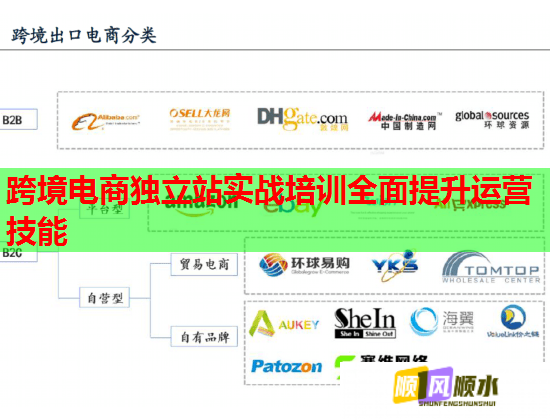 跨境电商独立站实战培训全面提升运营技能 跨境电商独立站实战培训全面提升运营技能