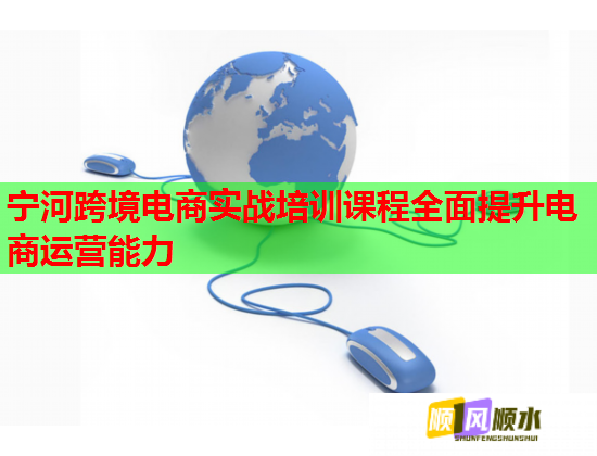宁河跨境电商实战培训课程全面提升电商运营能力 宁河跨境电商实战培训课程全面提升电商运营能力