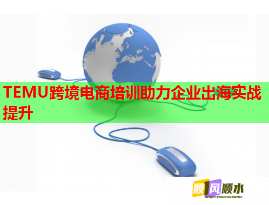 TEMU跨境电商培训助力企业出海实战提升 TEMU跨境电商培训助力企业出海实战提升