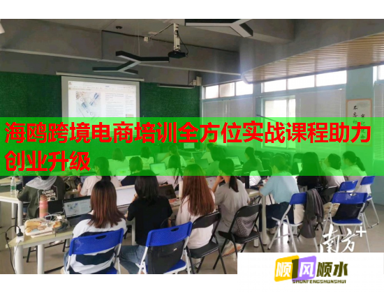 海鸥跨境电商培训全方位实战课程助力创业升级 海鸥跨境电商培训全方位实战课程助力创业升级