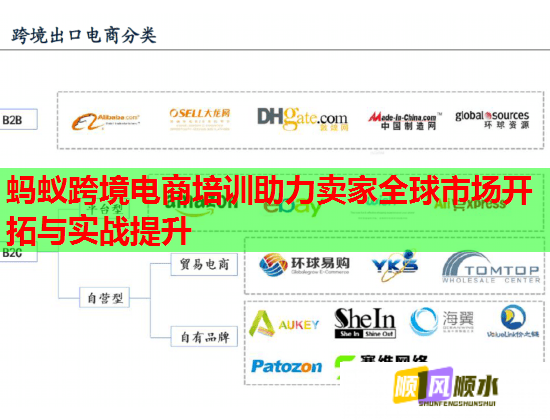 蚂蚁跨境电商培训助力卖家全球市场开拓与实战提升 蚂蚁跨境电商培训助力卖家全球市场开拓与实战提升